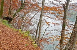 Bei Neuburg durchbricht der Inn die südlichen Ausläufer des Bayerischen Waldes. Direkt am Flussufer wurde Haplogona oculodistincta gefunden. Foto: Dr. Jörg Spelda 