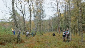Die Fachleute bei der Bestandsaufnahme im Birken-Moorwald des Naturschutzgebiets Hechtdiebel. Foto: Dr. Hans Reip