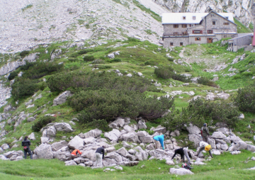 Aller Anfang ist die Suche - wie hier nach dem Alpensalamander. Foto: Dr. Ulrich Schulte