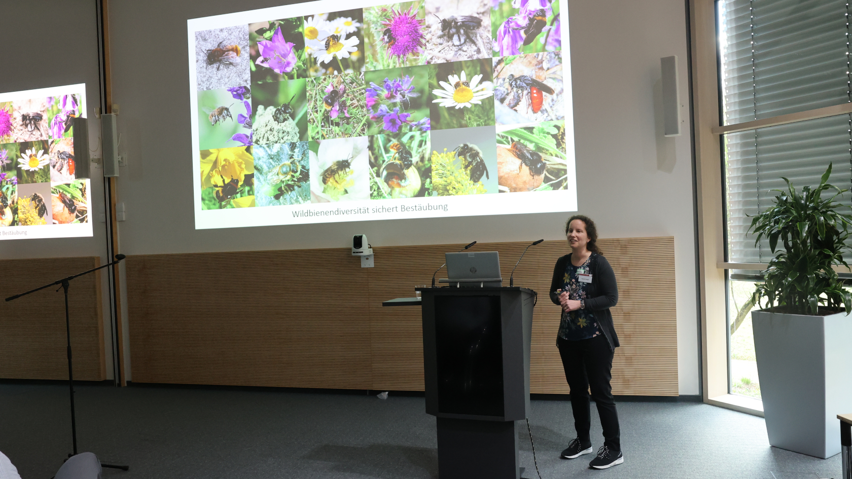 Ergebnisse aus dem Projekt BienABest zu Effekten des Klimas auf Wildbienenabundanzen stellte Hannah Burger, Universität Ulm, vor. Foto: Dr. Wolfgang Kathe