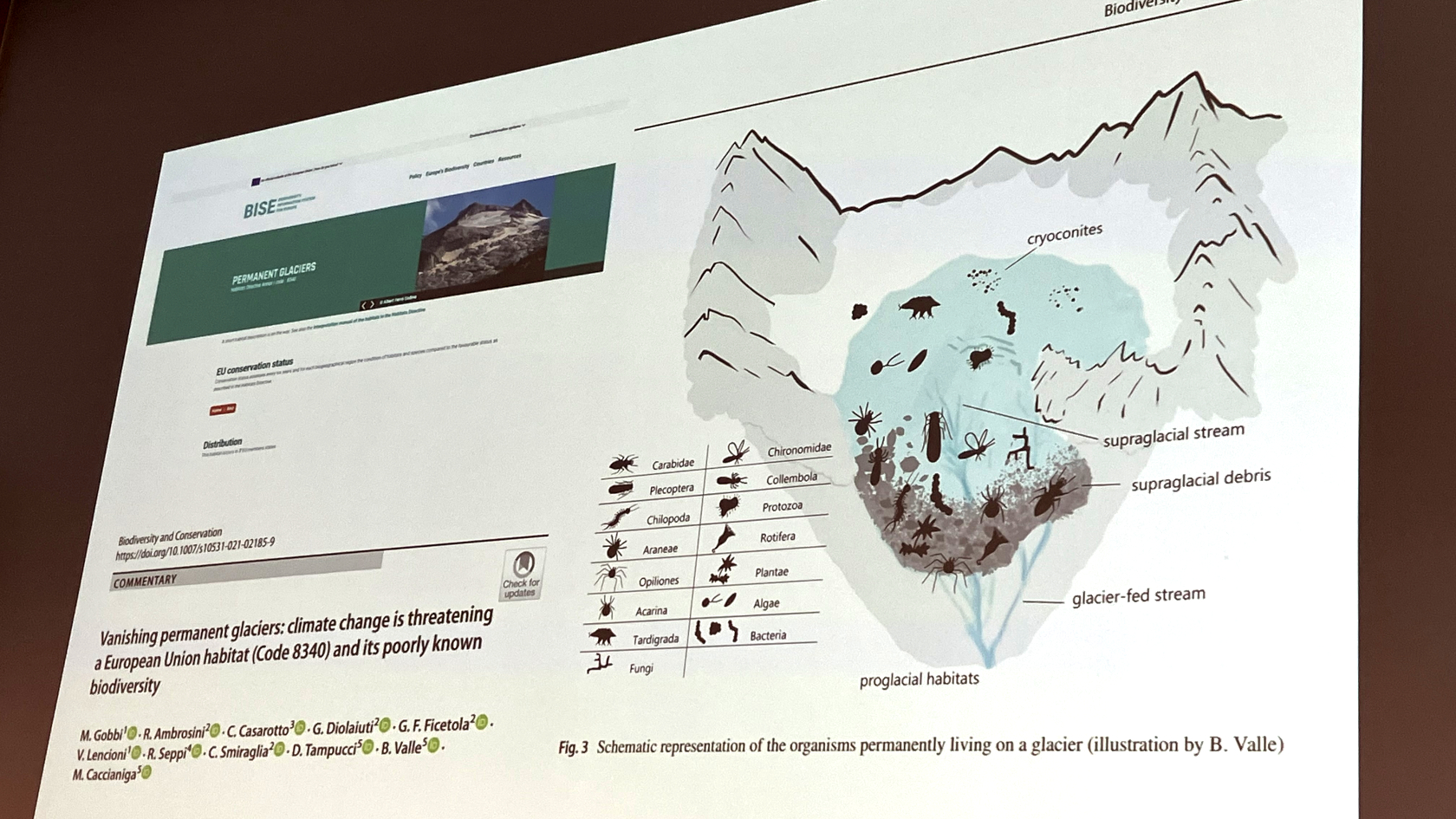 “Vanishing habitats: are snow- and ice-dependent tardigrades and other microscopic invertebrates threatened by climate change?” war Thema von Gastredner Krzysztof Zawierucha von der Adam-Mickiewicz-Universität in Poznań. Foto: Petra Richter