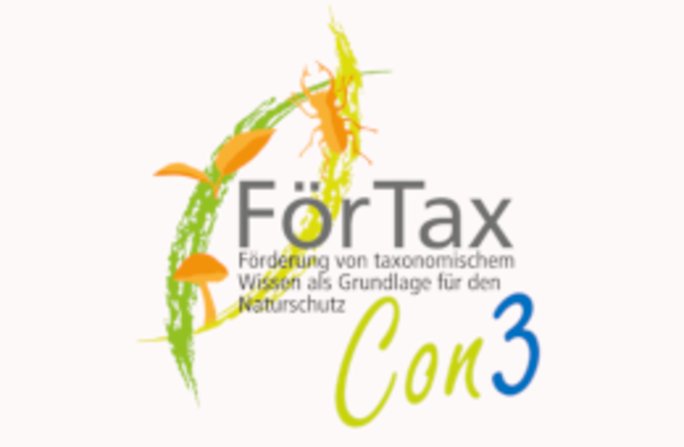 FörTaxCon3 am 28. und 29.11.2025. Bild: FörTax