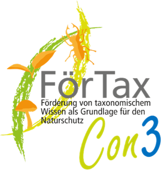 FörTaxCon3 am 28. und 29.11.2025. Bild: FörTax