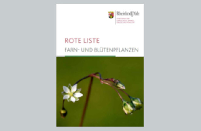Neue Rote Liste Rheinland-Pfalz: Farn- und Blütenpflanzen