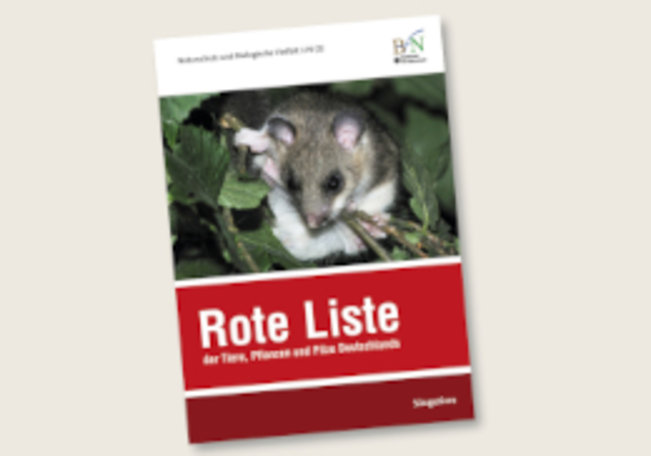 Rote Liste der Säugetiere Deutschlands 2020. Foto Publikation: Rote-Liste-Zentrum, Titelbild Siebenschläfer: Holger Meinig