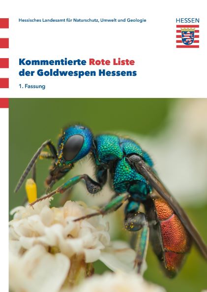 Rote Liste der Goldwespen Hessens. Foto: HLNUG