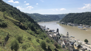 Mittelrheintal mit Blick auf die Loreley – ein Habitat, in dem der Loreley-Dickkopffalter einmal beheimatet war.