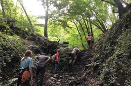 Die Exkursionsgruppe auf dem Weg zur Untersuchungsfläche am Spitznack. Foto: Jeremy Strätling