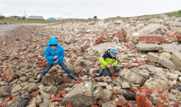 Den ehrenamtlichen Mitsuchern Jonas und Moritz gelang im ehemaligen Hafen Rantum der erste Fund des Meeres-Hundertfüßers. Foto: Dr. Hans Reip