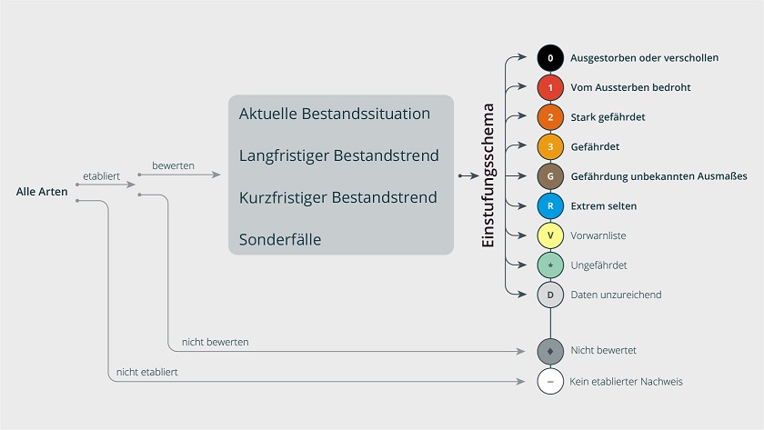 Die Gefährdungsanalyse mit den Gefährdungskategorien der Roten Listen im Überblick.