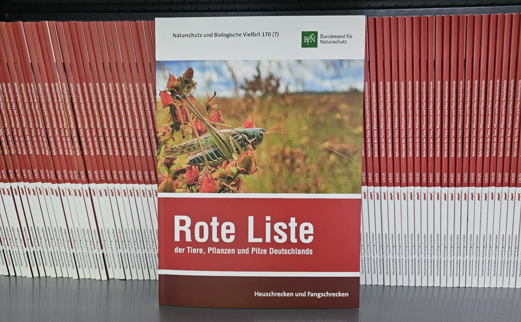 Rote Liste der Heuschrecken und Fangschrecken Deutschlands.  