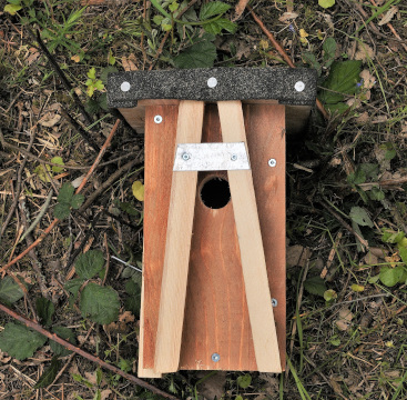 Gegen den Mangel an geeigneten Nist- und Schlafhöhlen kann man spezielle Gartenschläferkästen an Baumstämmen montieren.