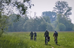 Die Doppelkornweihen auf dem Weg zum nächsten Hotspot. Foto: Doppelkornweihen