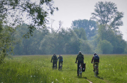 Die Doppelkornweihen auf dem Weg zum nächsten Hotspot. Foto: Doppelkornweihen 