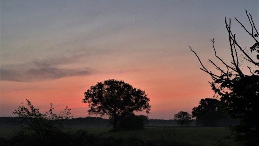 Die Suche nach der Waldschnepfe ist traditionell unser letzter Programmpunkt. Foto: Doppelkornweihen