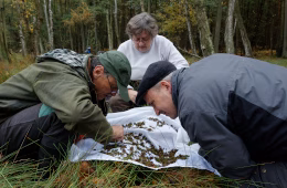 Die Myriapoden-Fachleute Reinhard Orsakowsky, Dr. Karin Voigtländer und Ulrich Burkhardt (v.l.n.r.) durchsuchen gesiebtes Bodenmaterial. Foto: Dr. Hans Reip
