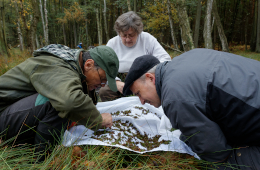 Die Myriapoden-Fachleute Reinhard Orsakowsky, Dr. Karin Voigtländer und Ulrich Burkhardt (v.l.n.r.) durchsuchen gesiebtes Bodenmaterial. Foto: Dr. Hans Reip 