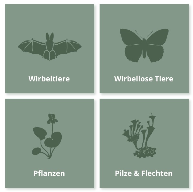 Organismen-Großgruppen
