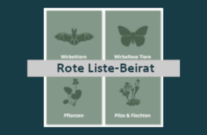 Rote Liste-Beirat