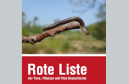 Rote Liste der Hundertfüßer und Doppelfüßer Deutschlands.