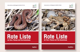 Rote Listen der Amphibien und Reptilien. Foto: BfN/RLZ