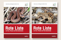Rote Listen der Amphibien und Reptilien. Foto: BfN/RLZ